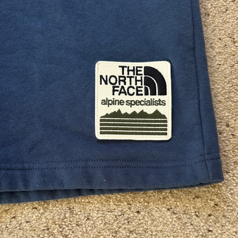 The North Face Men’s Navy Shorts in Excellent Condition